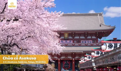 Tour Nhật Bản Cung Đường Vàng 5 ngày 5 đêm - Vietnam Airlines