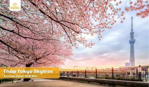 Tour Nhật Bản Tokyo Fuji 5 ngày 4 đêm