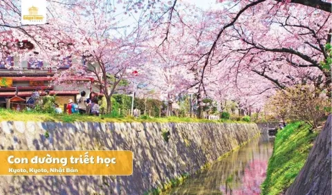 Tour Nhật Bản Cung Đường Vàng 5 Ngày 5 Đêm từ Tp HCM bay Vietjet Air