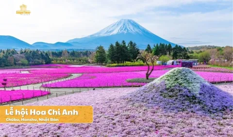 [Khởi hành từ Hà Nội] Tour Nhật Bản Cung Đường Vàng 5 ngày 5 đêm