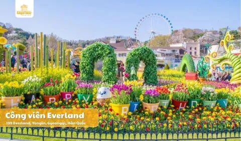 Tour Hàn Quốc Seoul Nami 5 ngày 4 đêm
