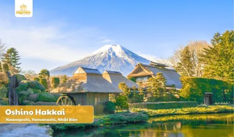 [Khởi hành từ Hà Nội] Tour Nhật Bản Cung Đường Vàng 5 ngày 5 đêm
