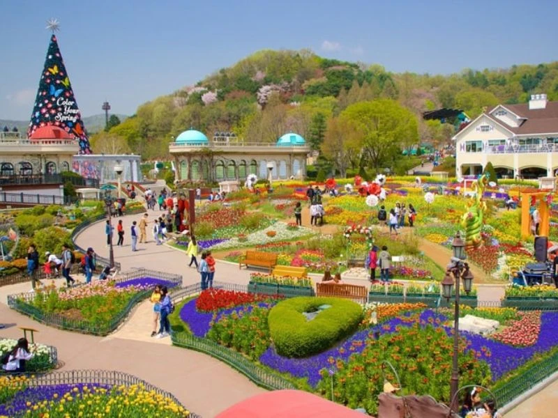 Tour du lịch Hàn Quốc mùa thu giá tốt năm 2025